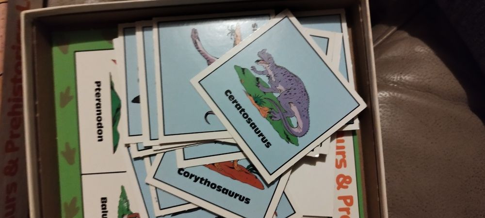 Dinozaury w języku angielskim gra