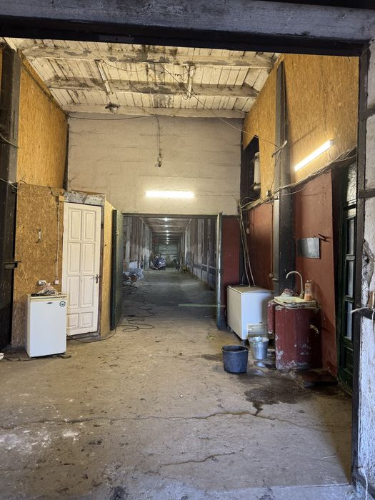 Оренда ферма/комерційна нерухомість/овоческлад/теплиці