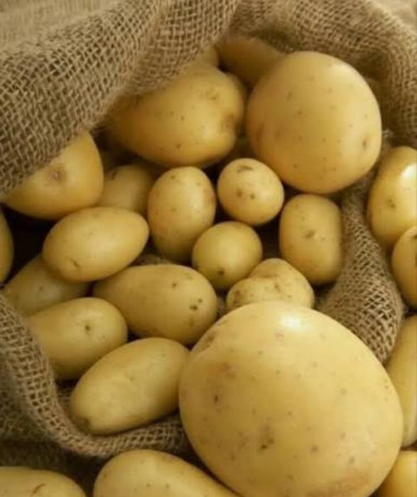 Batata biológica consumo