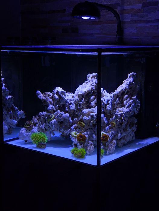 Iluminaria Aquário Noopsyche k7 mini