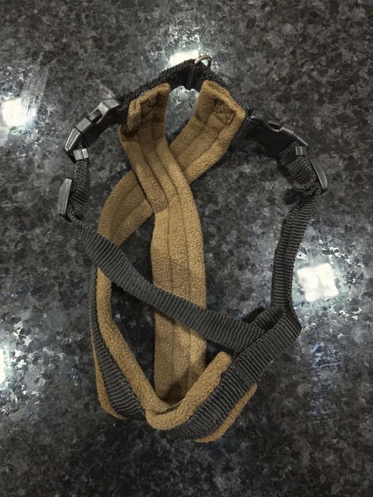 Arnês Para cão porte médio
