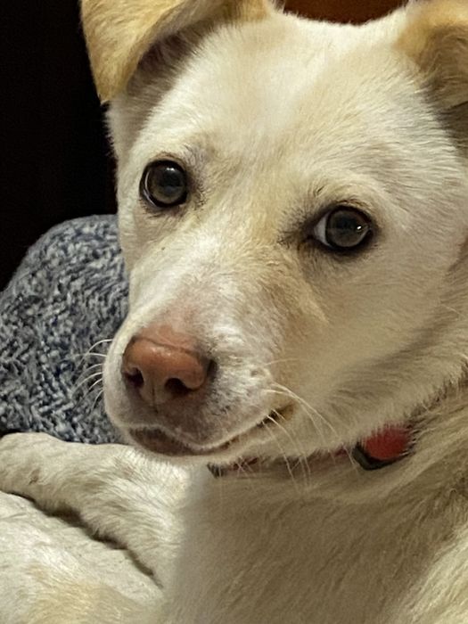 Енергійна красуня шукає родину