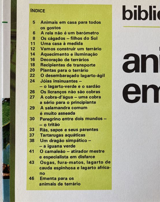 Livro Animais em Casa - Verbo Juvenil (Vintage)