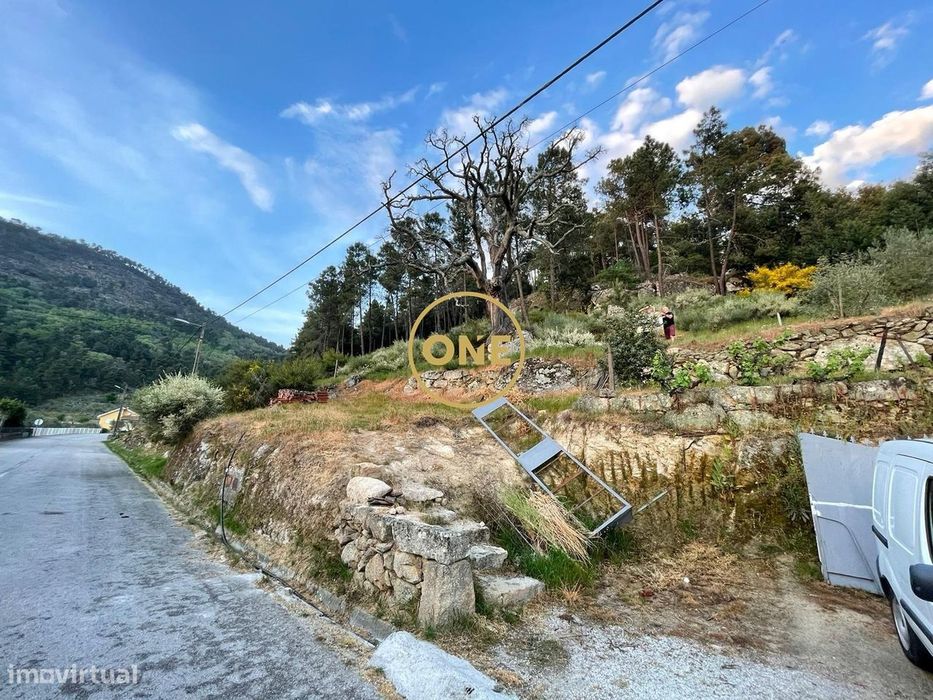 Terreno rústico com 24.900 m2, situado em Longo / Tabuaço para venda