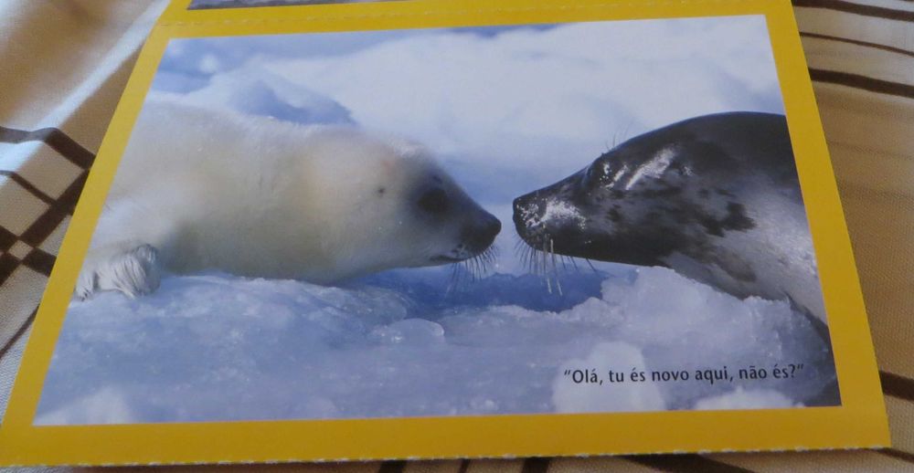 Passeio Viagem ao Mundo Maravilhoso dos animais  - 4 Unidades - Novos