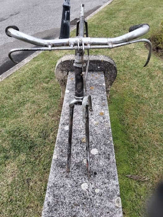 Bicicleta Pasteleira