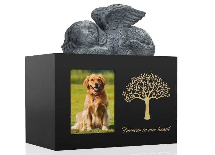 Pet cremation sale olx