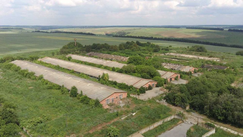 Комплекс для відгодівлі ВРХ. 25905.5 м2