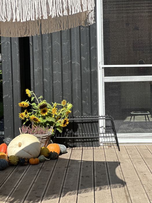 Domek wśród boru z balią jacuzzi noclegi k. Bałtów Sandomierz