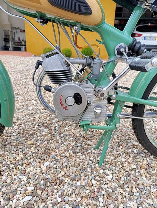 CUCCIOLO Vilar 1955