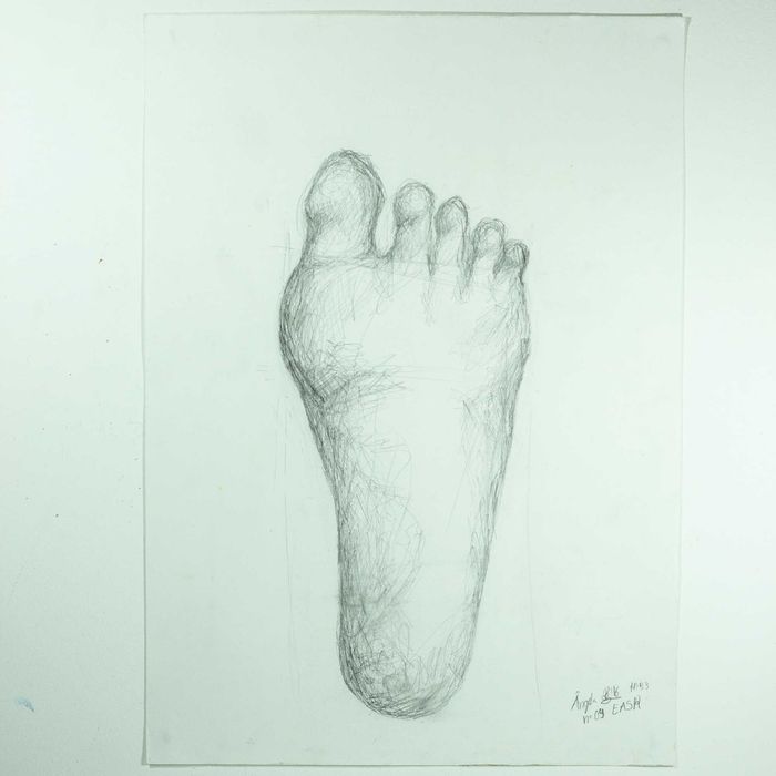 Arte - Desenhos/ Pinturas
