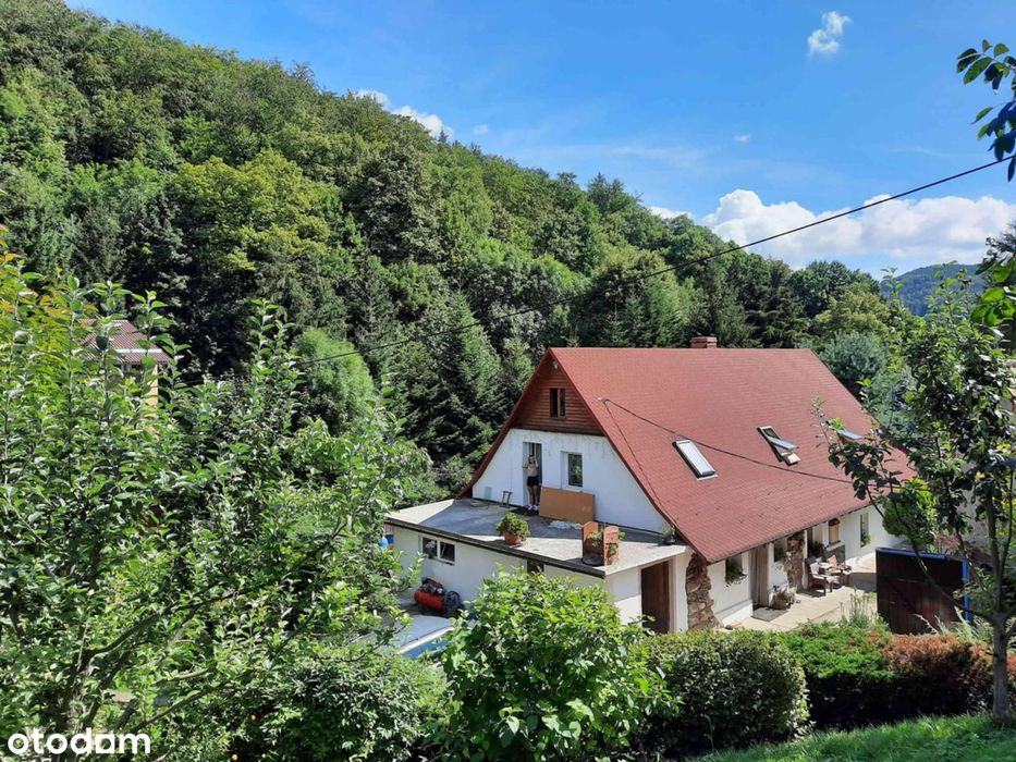 Dom z gospodarstwem na sprzedaż w sercu Gór Sowich!