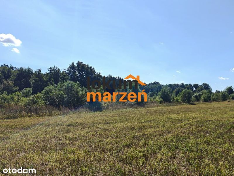 !NOWA CENA! Działka rolna 30 arów – Szaszarowice, gmina Niechlów