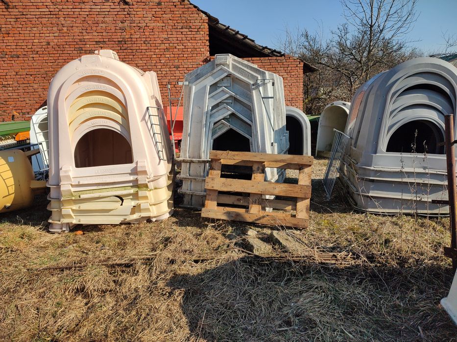 Budki dla cielat / iglo dla cieląt