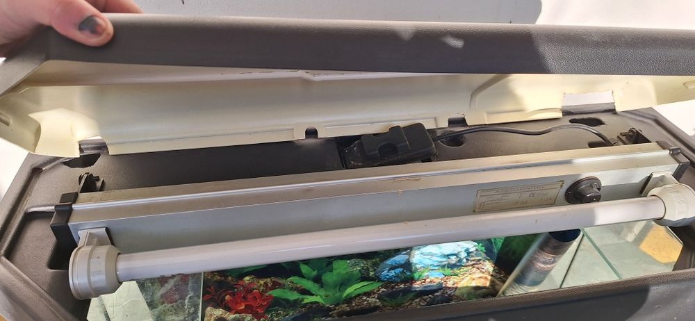 Aquário panorâmico