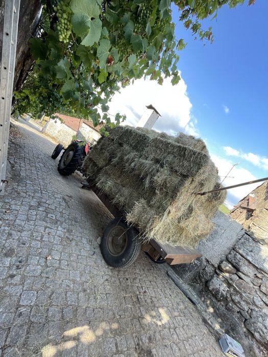 Vendo feno deste ano muto boa qualidade