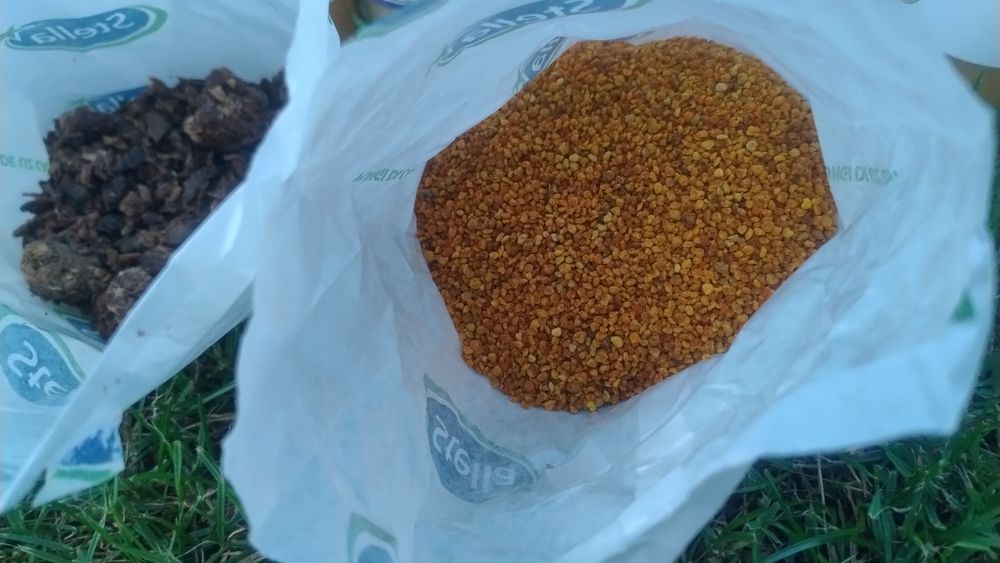 Miód, pyłek pszczeli, pierzga, propolis.
