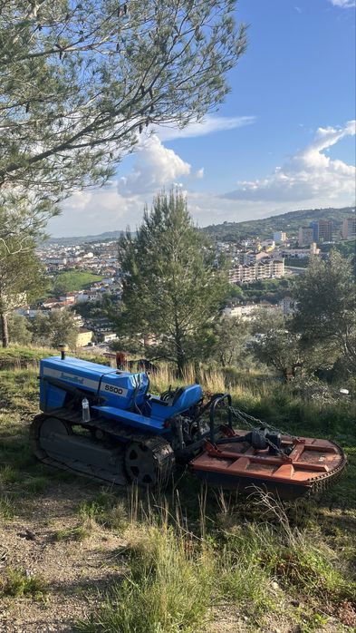 Limpeza de terreno
