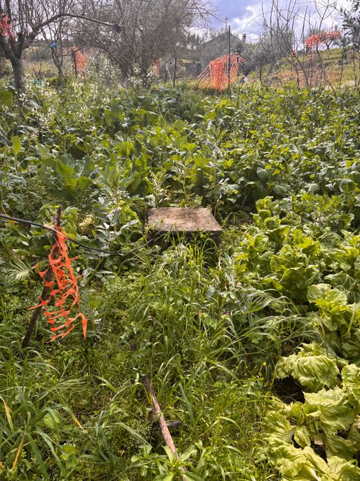 Casa para recuperar com furo