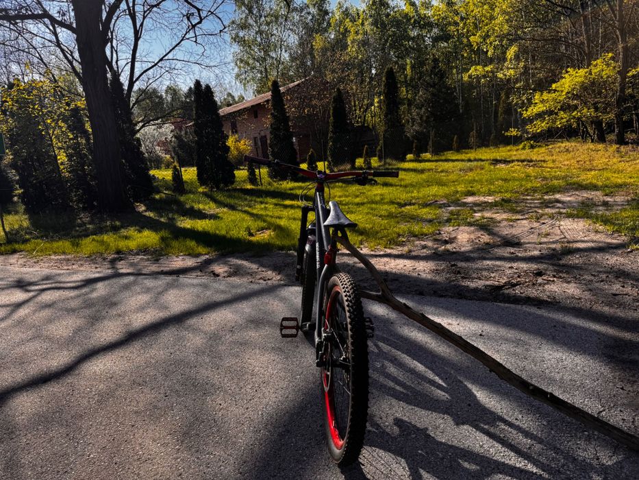 Dartmoor Hornet 2015