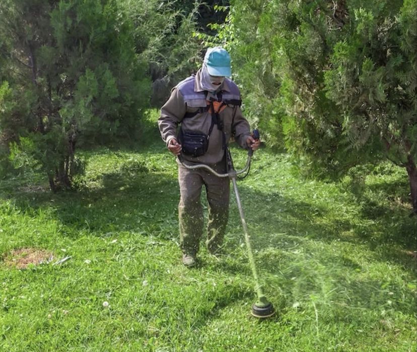 Koszenie trawników,pielegnacja ogrodów,wywóz gruzu,wywóz gabarytów