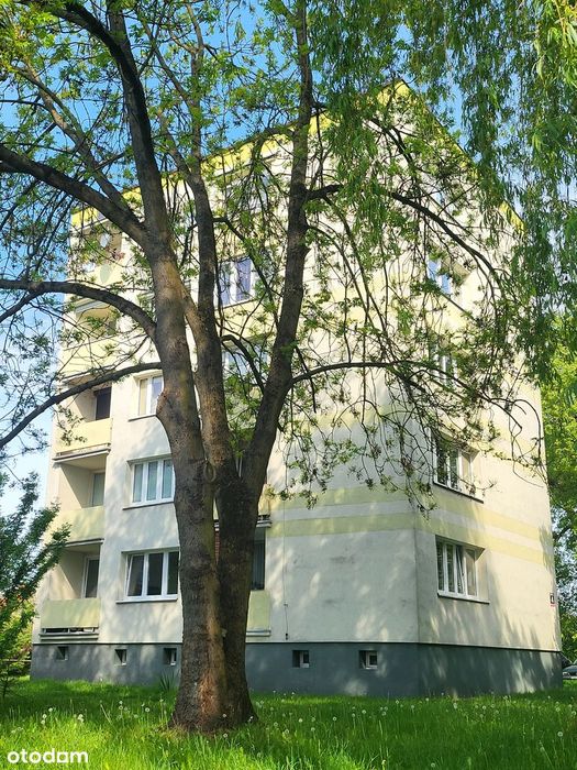 myślibórz , mieszkanie  2 pokoje , ul wałowa  , parter