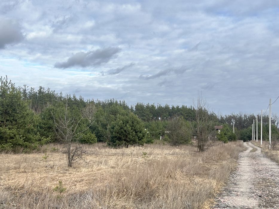 15 сот біля соснового лісу з ялинками с.Здорівка