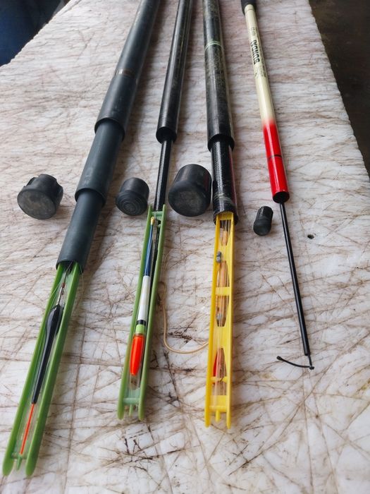 Canas pesca bolonhesa