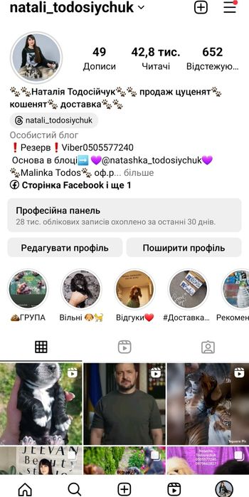 Хлопчик з родословною WCF