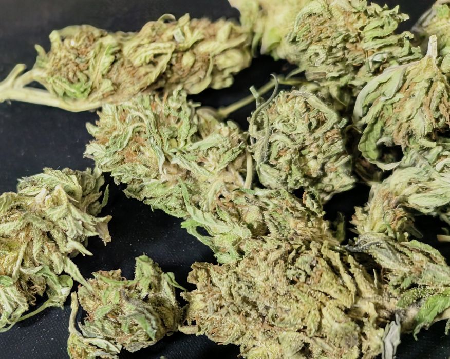 Legalny susz CBD 12.21% NATURALNY  50g