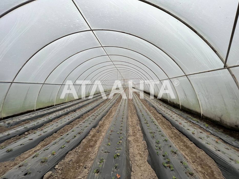 Продаж готового бізнесу з садівництвом м. Жовква