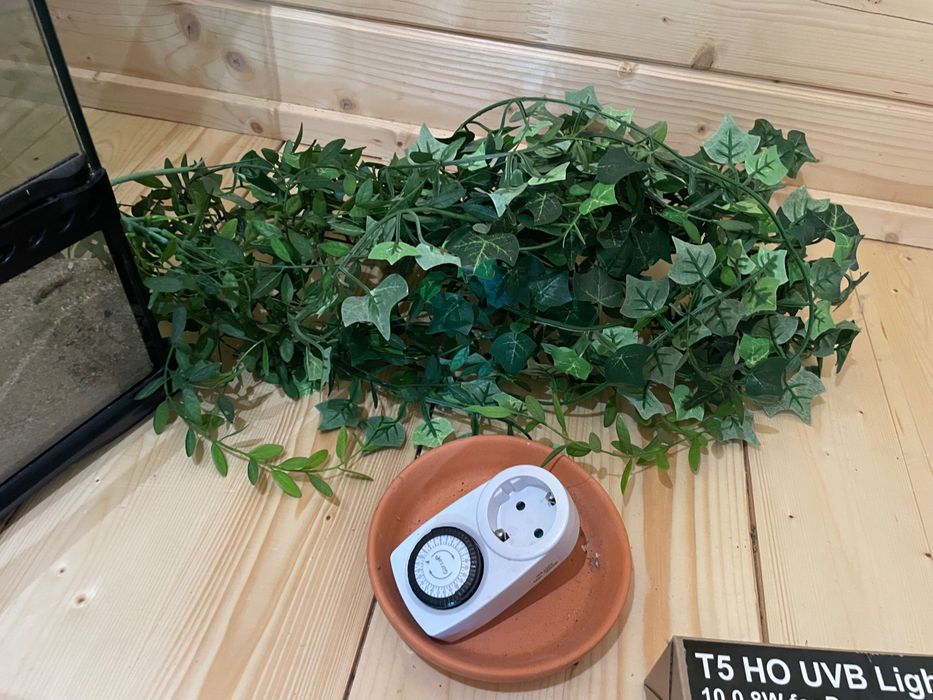 Terrário de vidro Exo-Terra