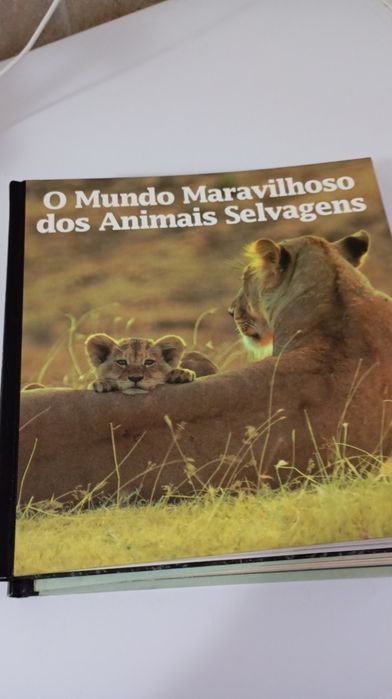Conjunto de dois livros