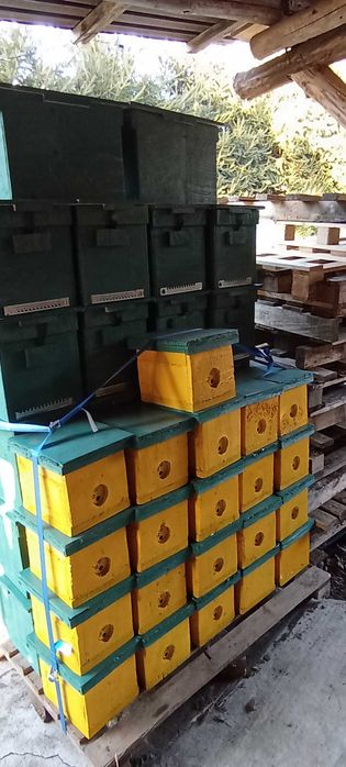 Ule, pasieka, cały sprzęt, likwidacja aktualizacja 2 rodziny Dużo sprzedane Weselne odkładowe pozostały