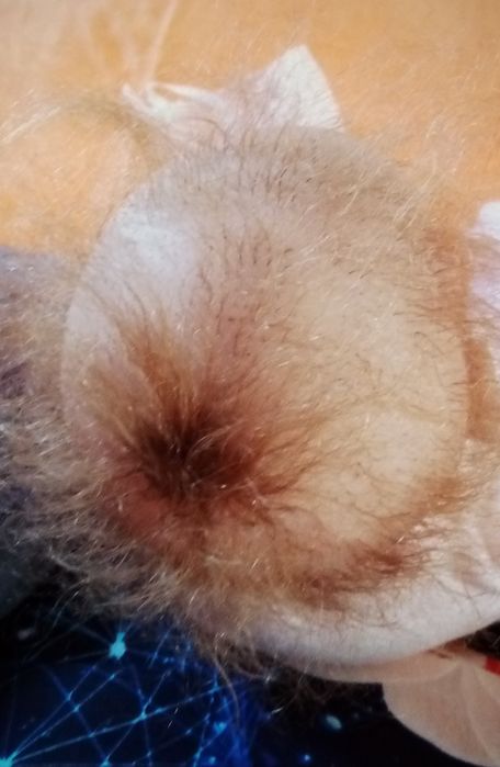 Okazja ! Duża Słodka lalka typ reborn 52 cm.