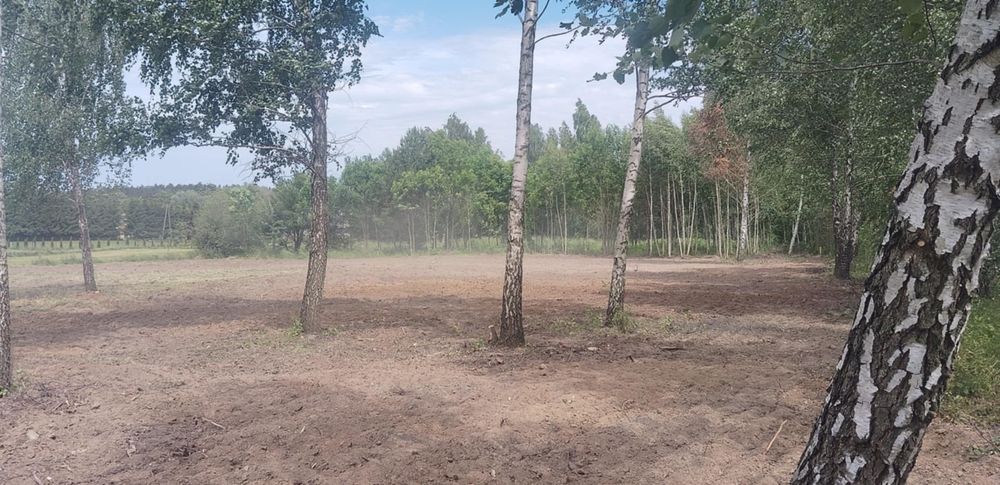 Wycinka drzew czyszczenie terenu