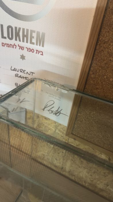 Terrario Grande 100cm