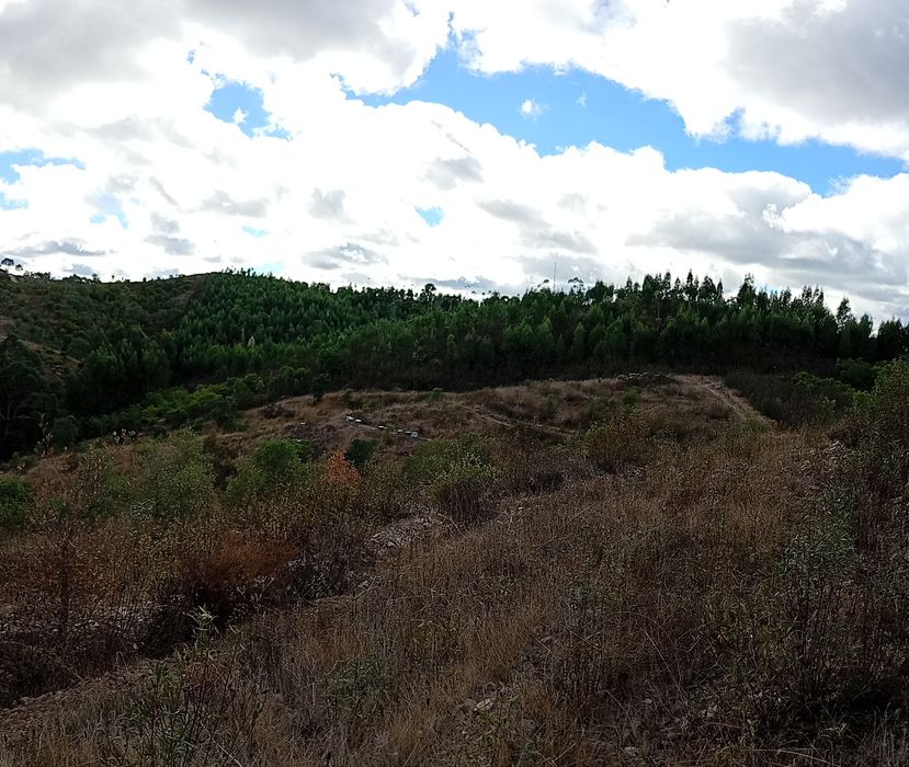 Terreno Ourique 115.000 metros quadrados próximo de barragem