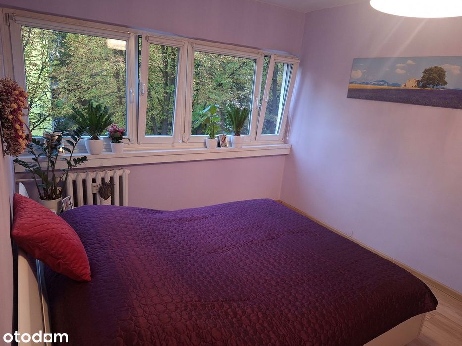 2 pokoje z oddzielną kuchnią, 45 m kw. - Widok 6