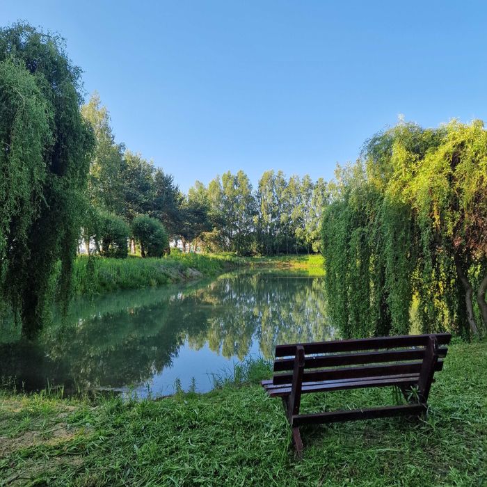 Gospodarstwo - PIECZARKARNIA