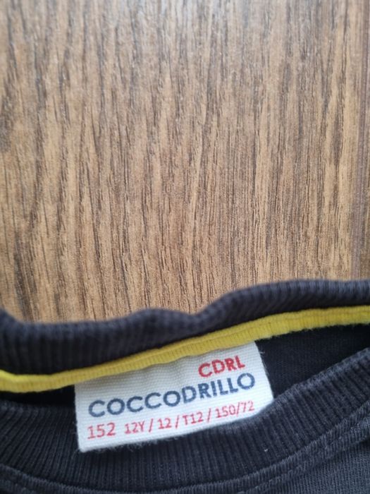 Bluza coccodrillo dla chłopca 152