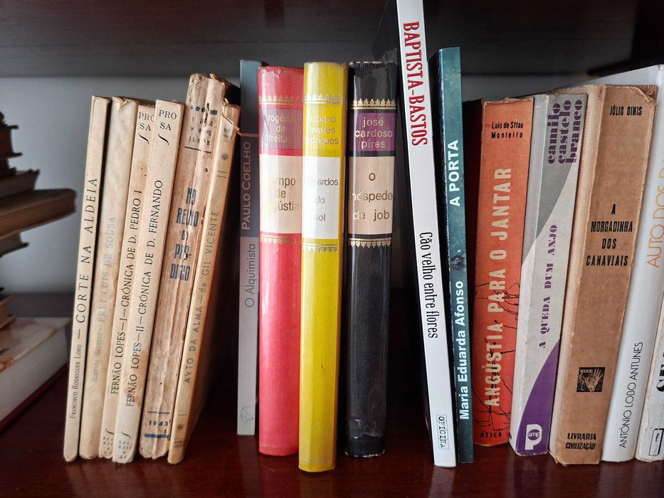 Livros de literatura Portuguesa - Sec XX - Grandes Autores - 22 Livros