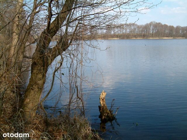 Działka budowlana / rekreacyjna - jeziora lasy – pohled 2