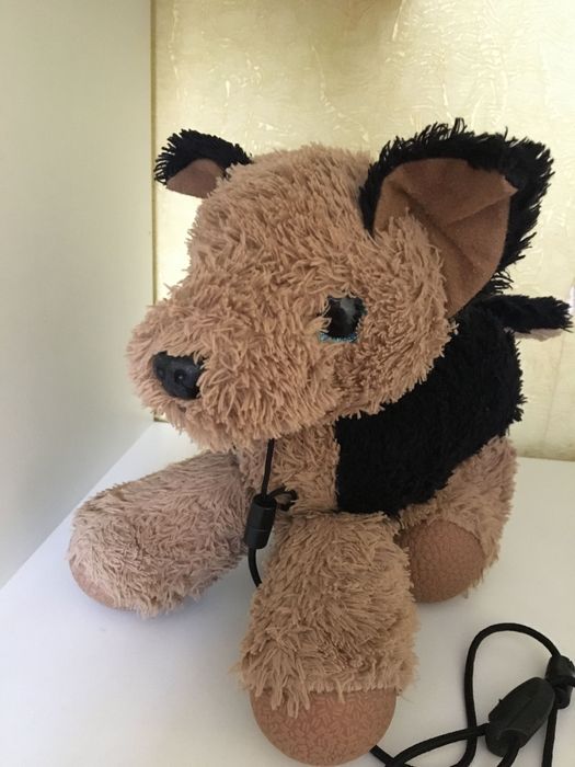 М’яка іграшка з якою можно гуляти на вулиці