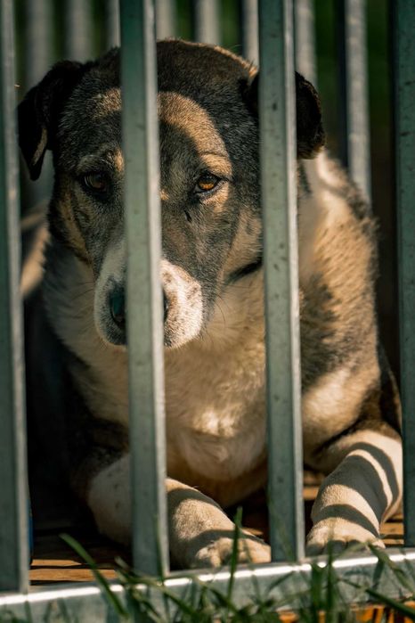 JACK- nareszcie bezpieczny