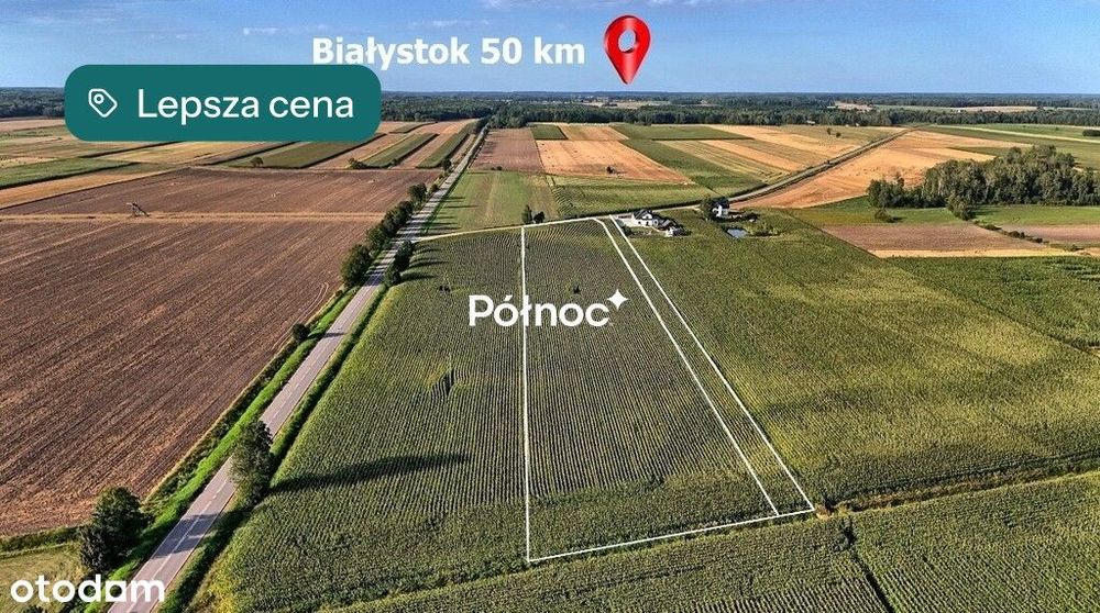 Działki budowlane w Brańsku.