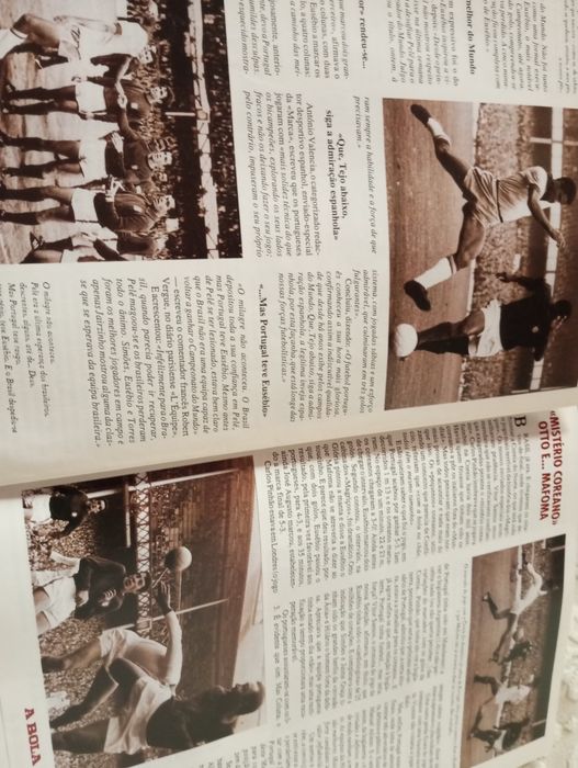 "Magriços" (Sobre o mundial de futebol de 1966)