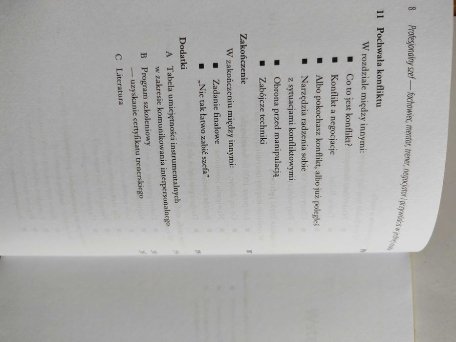 Profesjonalny szef - fachowiec, mentor, trener ...