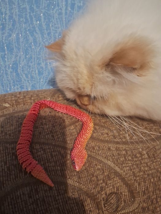 Рухома змія, супер подарунок