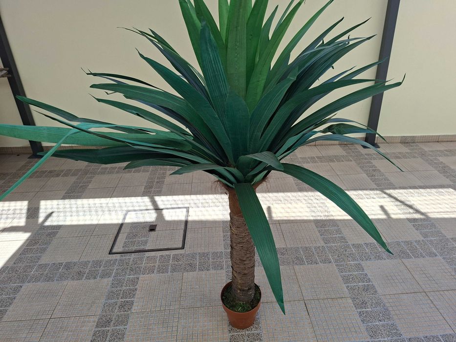 Planta Artificial – Como Nova